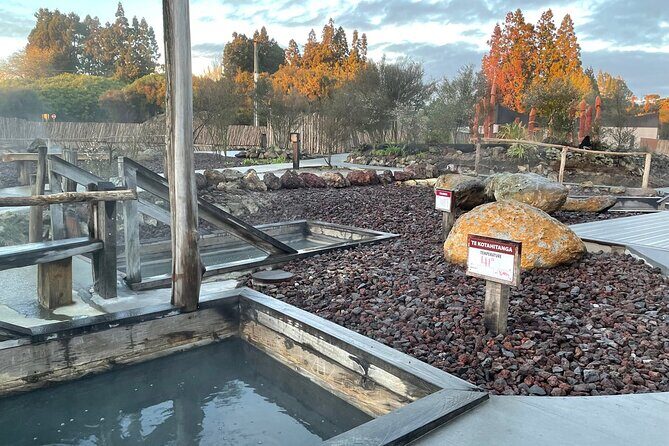 Waiomio Kawiti Glowworm Cave & Ngawha Hot Springs day tour - Final Thoughts