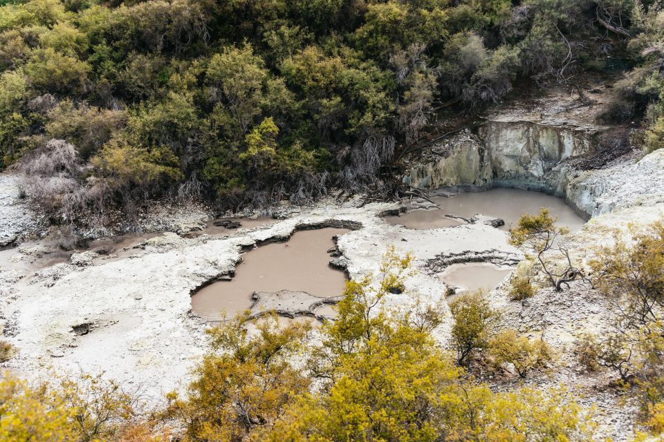 Waiotapu: Thermal Park and Lady Knox Geyser Entry Ticket - Key Points