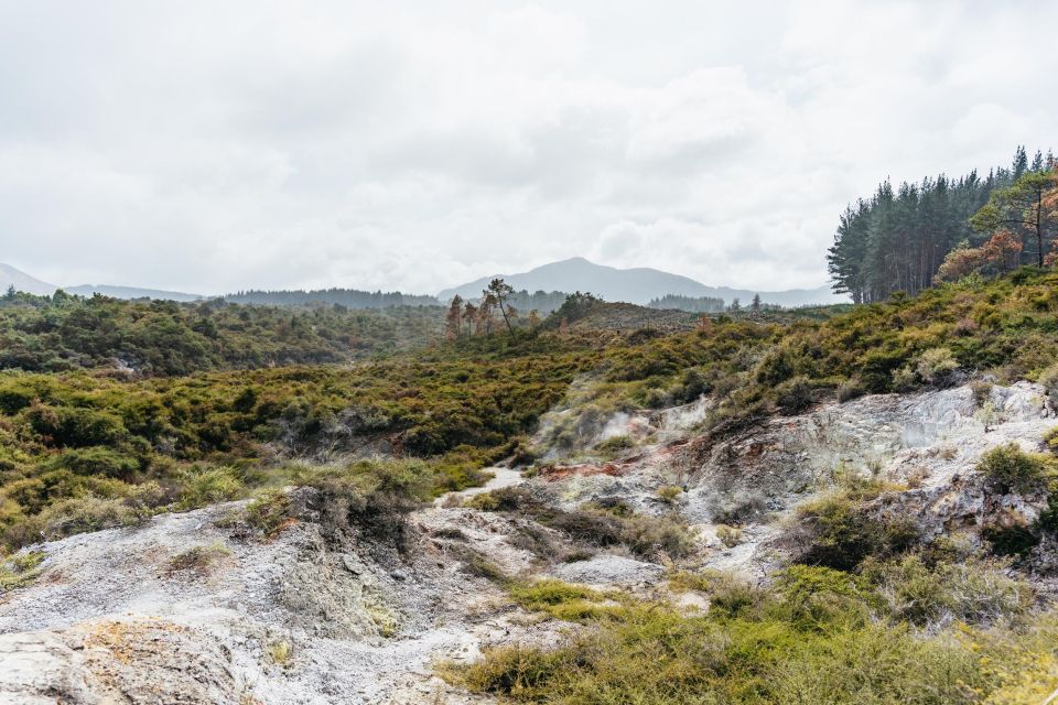 Waiotapu: Thermal Park and Lady Knox Geyser Entry Ticket - Cancellation Policy and Validity