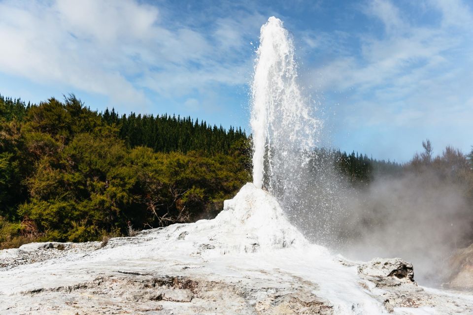 Waiotapu: Thermal Park and Lady Knox Geyser Entry Ticket - Visitor and Customer Reviews