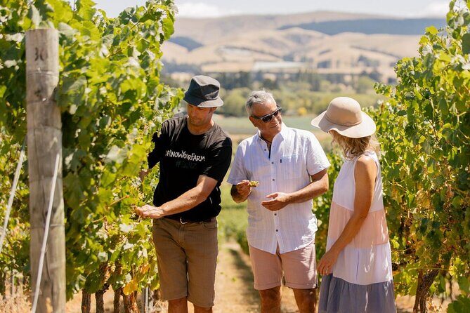 Waipara Valley Wine Region and Hanmer Springs All Day Tour - An In-Depth Look at the Itinerary