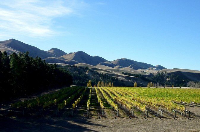 Waipara Wine Trail Private Group Tour From Christchurch - FAQ