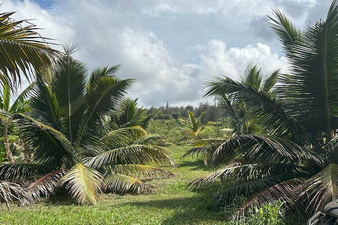 Waipi'o on Horseback: Mountain to Ocean Working Cattle Ranch - Accessibility and Health Guidelines