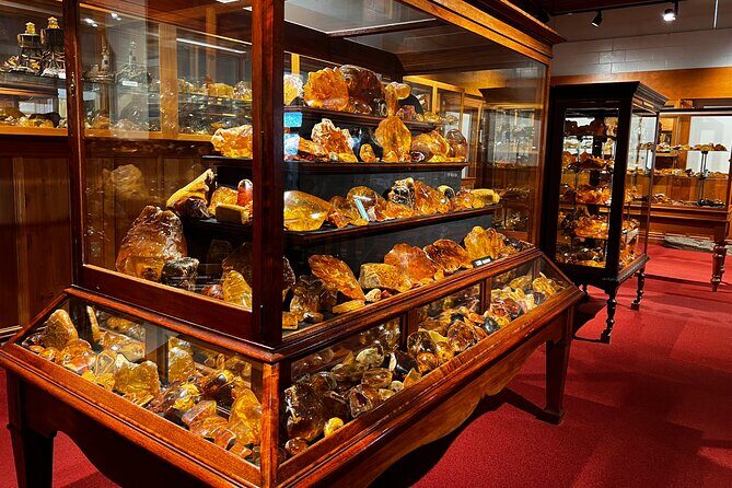 WAIPOUA FOREST Tane Mahuta & KAURI MUSEUM Day Tour from Auckland - What Travelers Say