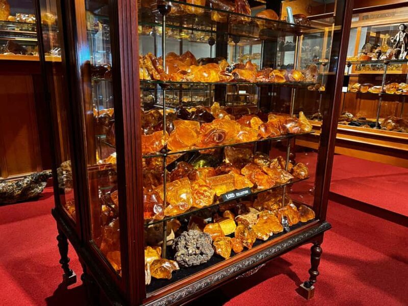 Waipoua KAURI Forest, Tane Mahuta & Museum Tour Ex Auckland - Practical Details for Travelers