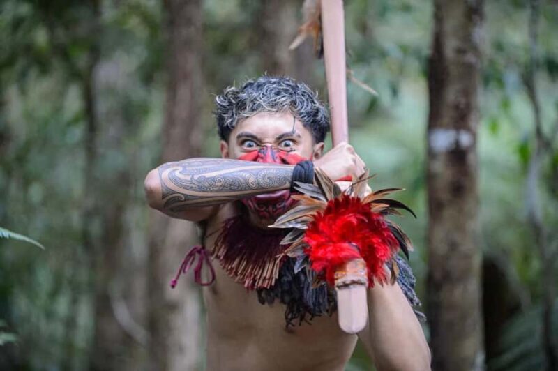 Waitangi Treaty Grounds Day Tour From Auckland - The Museums: Stories That Resonate
