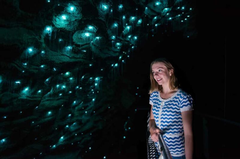 Waitomo Caves: Ruakuri Glowworm Cave Guided Walking Tour - Key Points  