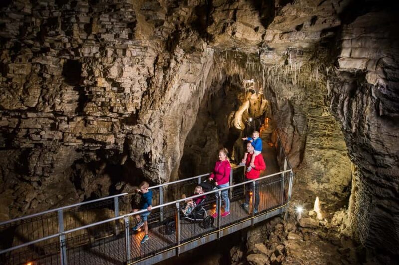 Waitomo Caves: Ruakuri Glowworm Cave Guided Walking Tour - FAQ