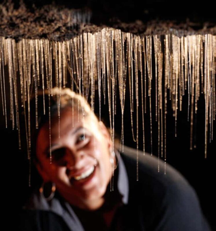 Waitomo Caves, Zealong Tea & Kiwi House Private Tour - The Sum Up