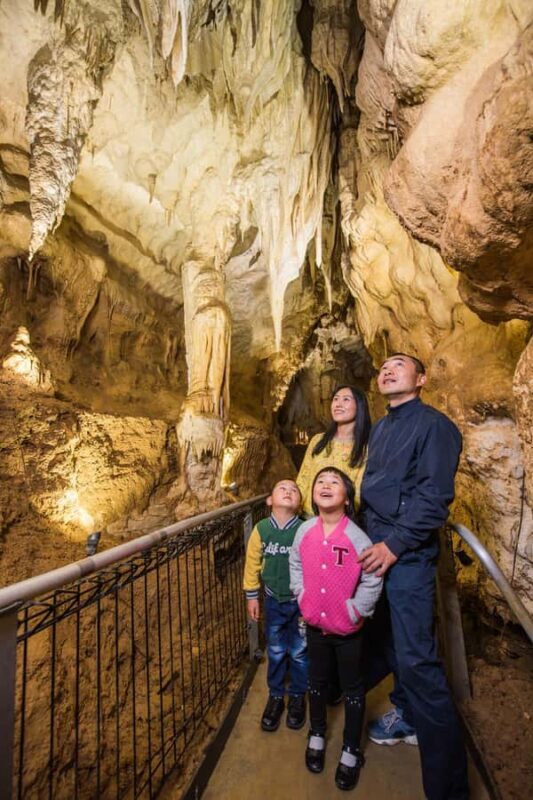 Waitomo Caves, Zealong Tea & Kiwi House Private Tour - Frequently Asked Questions