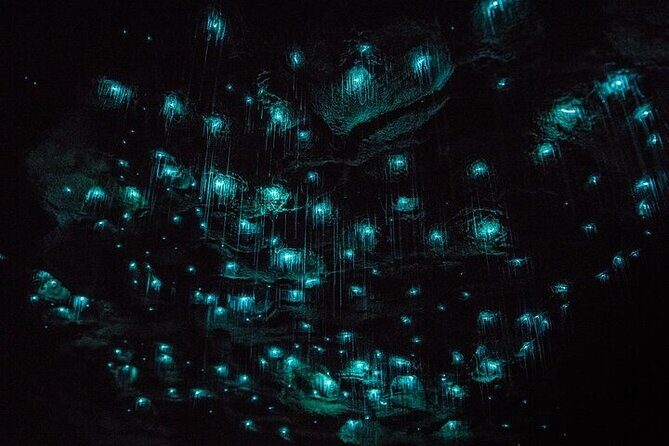 Waitomo Glow Worm Caves - Frequently Asked Questions
