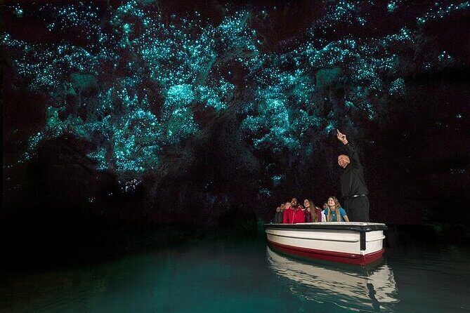 Waitomo Glow Worm Caves & Te Puia (Rotorua) Private Tour - The Sum Up