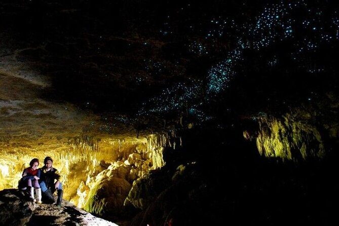 Waitomo Glow Worm Caves Tour from Auckland - Key Points