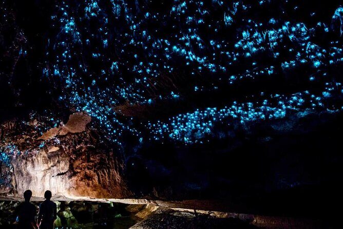 Waitomo Glow Worm Caves Tour from Auckland - What’s Included and What’s Not