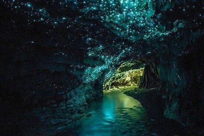Waitomo Glow Worm Caves Tour from Auckland - Frequently Asked Questions