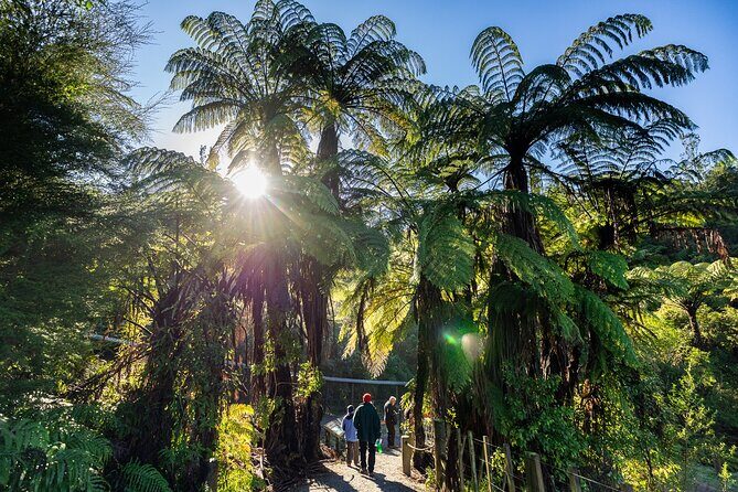 Waitomo GlowWorm cave & Sanctuary Mountain Ancient Walk Tour - Final Thoughts: Is This Tour Worth It?
