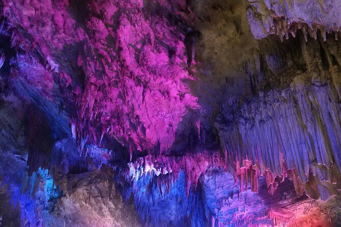 Waitomo Glowworm Caves and Hamilton Gardens Tour - Introduction