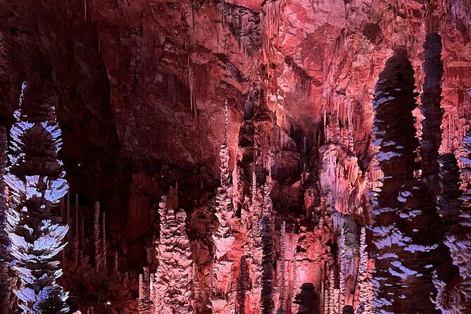 Waitomo Glowworm Caves and Hamilton Gardens Tour - Key Points