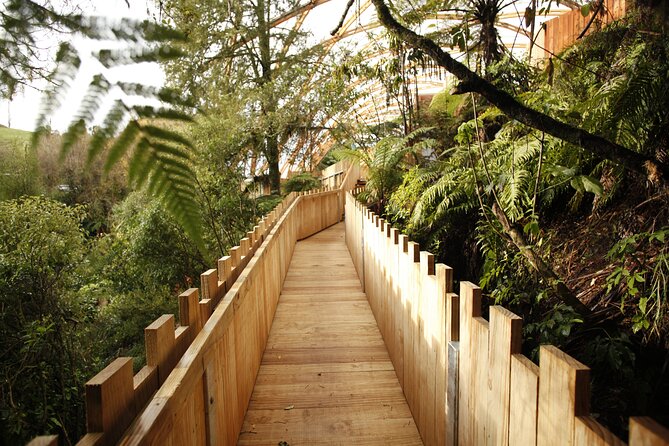 Waitomo Glowworm Caves - Shore Excursions From Auckland - Important Rules and Restrictions