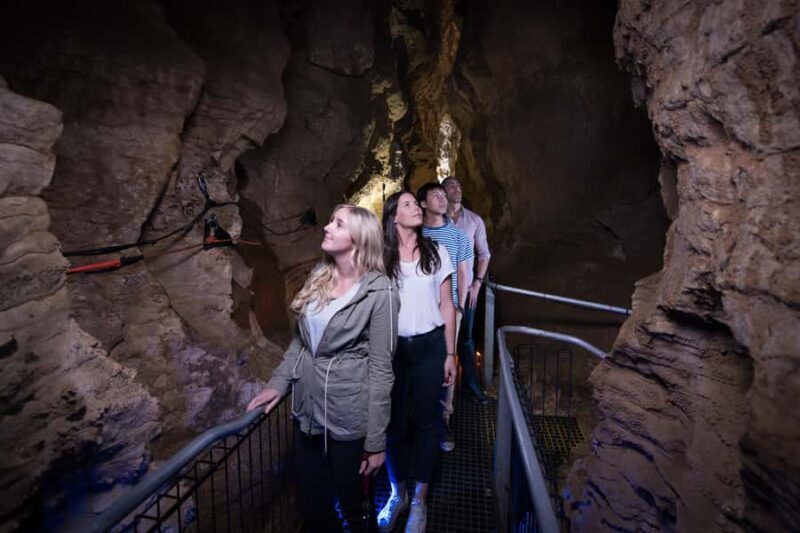WAITOMO GLOWWORM & RUAKURI CAVES-PRIVATE TOUR FROM AUCKLAND - The Sum Up