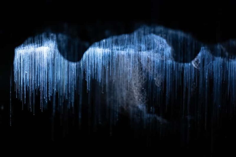 WAITOMO GLOWWORM & RUAKURI CAVES-PRIVATE TOUR FROM AUCKLAND - Frequently Asked Questions