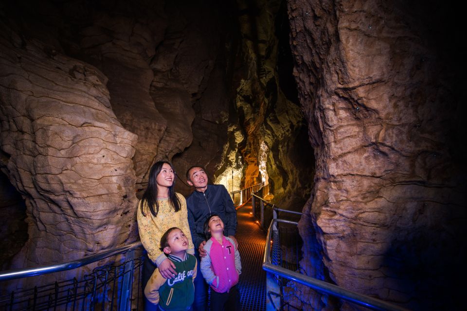 Waitomo: Ruakuri Cave 1.5 Hour Guided Tour - Experience Description