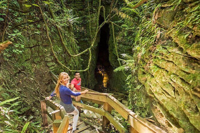 Waitomo & The King Country Exclusive Luxury Day Tour from Auckland - An In-Depth Look at the Itinerary