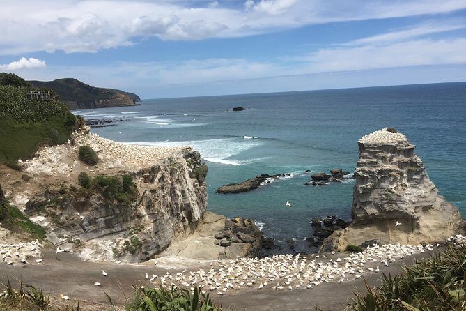 Waitomo & The King Country Exclusive Luxury Day Tour from Auckland - Who Should Consider This Tour?