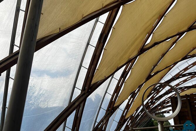 WAITOMO - Twin Caves Discovery - Private Day Tour from Auckland - Final Thoughts: Who Will Love This Tour?