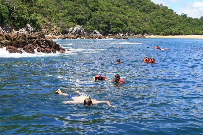 Walk And Snorkel In The National Park HT - Analyzing the Value