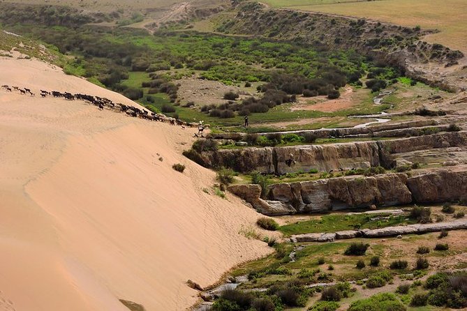 Walk Between Argan Forest, Ocean & Waterfalls - Discovering the Waterfalls