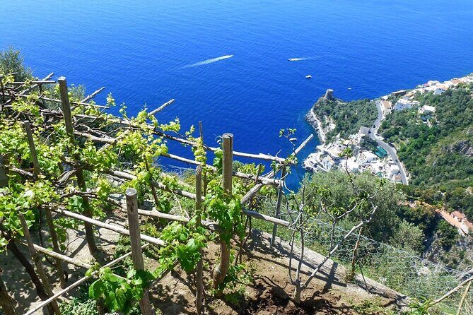 Walk, Cook and Eat on the Amalfi Coast - The Sum Up: Is It Worth It?