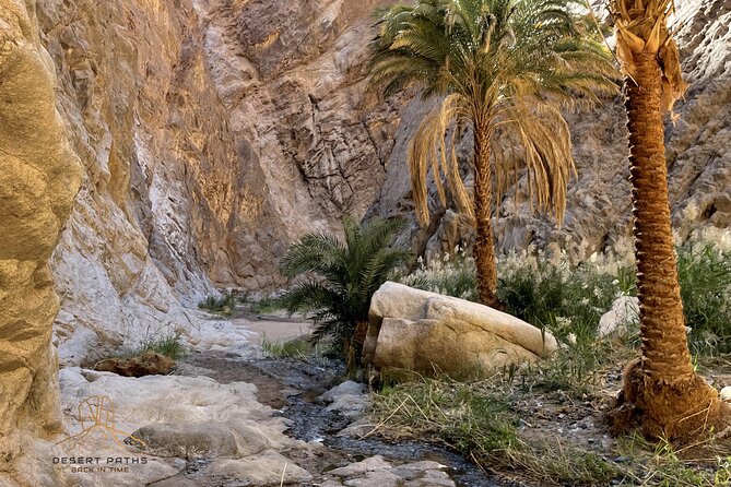 Walk in Moses Footsteps - Tour Between Tabuk and the Red Sea - Journey to the Red Sea