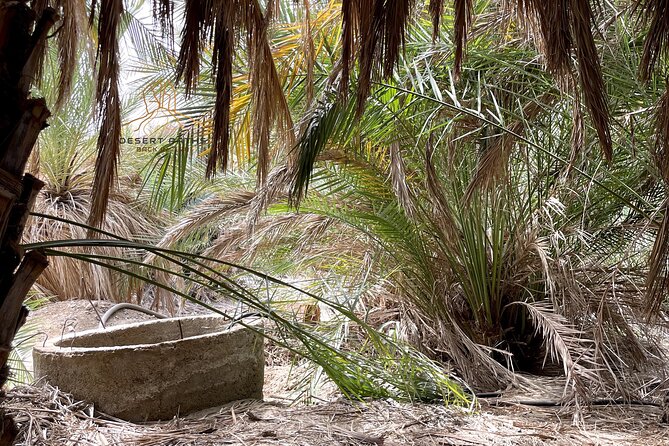 Walk in Moses Footsteps - Tour Between Tabuk and the Red Sea - Cultural Experiences
