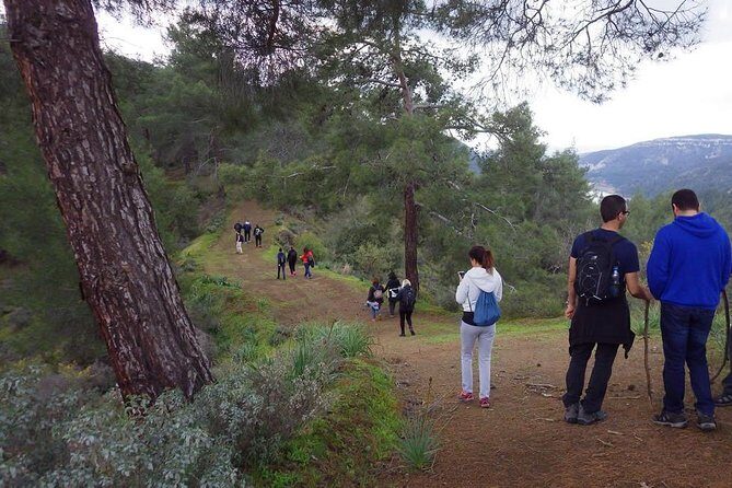 Walk in Omodos alleys & around Kelephos medieval Venetian bridge - Authentic Experiences and Local Flavors