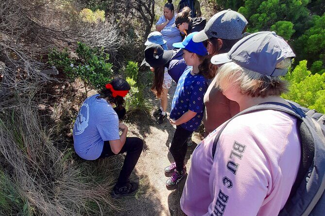 Walk on Country at Taananeditj (Rotary Lookout) - Exploring Walk on Country at Taananeditj (Rotary Lookout): A Genuine Cultural Experience