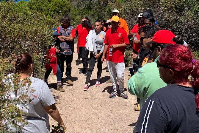 Walk on Country at Taananeditj (Rotary Lookout) - Is This Tour Worth It?