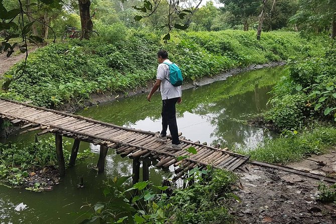 Walk the Kolkata Wetlands: Green Eye Candy - Good To Know