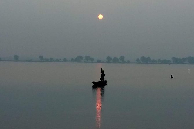 Walk the Kolkata Wetlands: Green Eye Candy - Highlights of the Experience