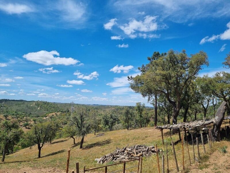 Walk through Hills With a Local Goat Herder and Their Goats - Walk through Hills With a Local Goat Herder and Their Goats: A Genuine Algarve Experience