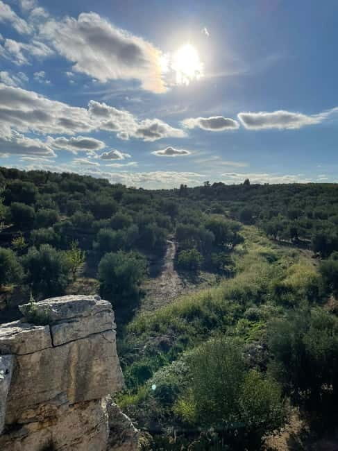 Walk through Lama S.Croce: Between Trulli and Olive Trees - Exploring the Route and Its Highlights