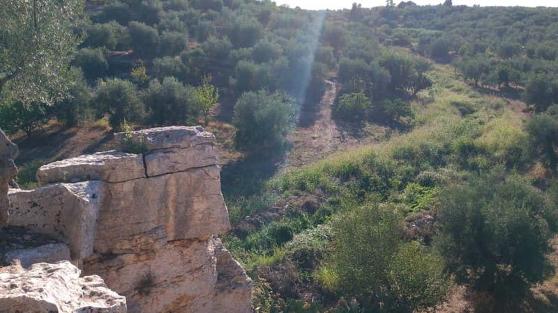 Walk through Lama S.Croce: Between Trulli and Olive Trees - Authentic Experiences and Hidden Gems