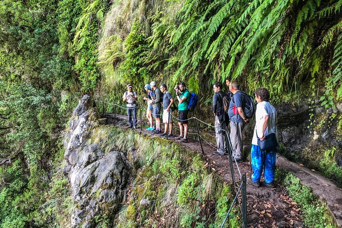 Walk With a Local - Highlights From Traveler Feedback
