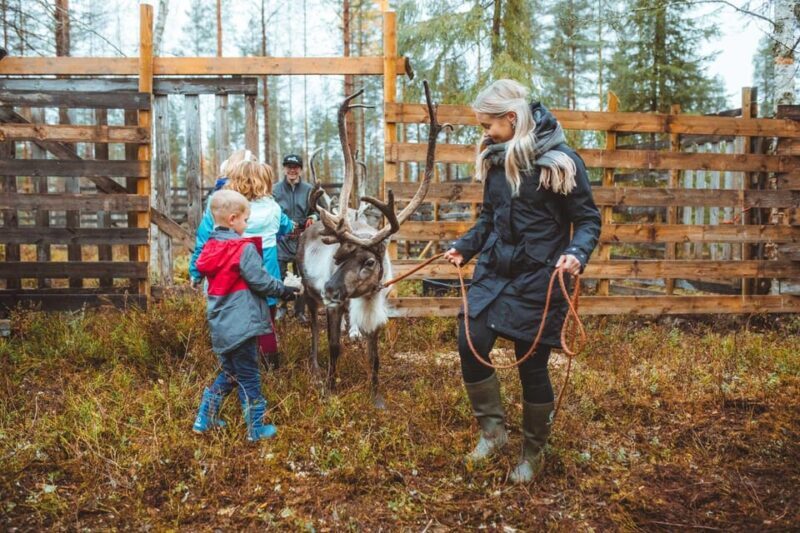 Walk with Reindeer - Key Points