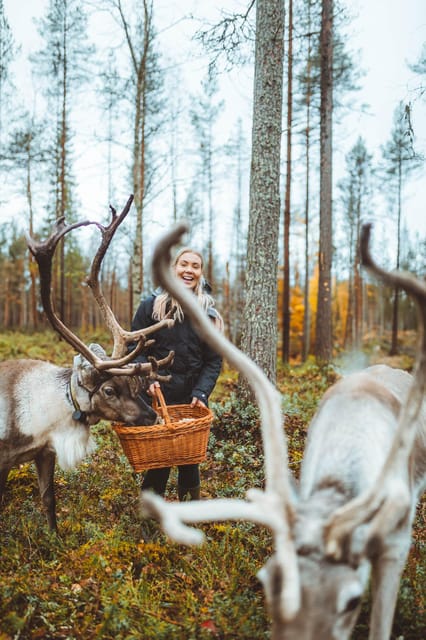 Walk with Reindeer - Analyzing the Value
