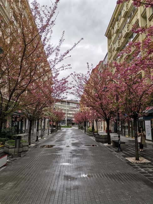 Walking in Skopje - Why Choose Walking in Skopje?