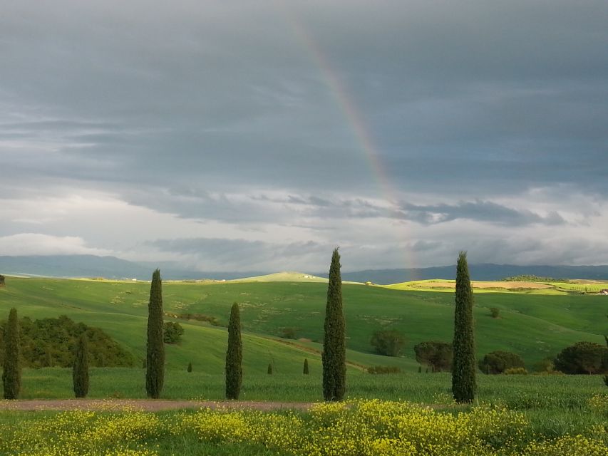 Walking in the Olive Grove: How Is Extra Virgin Olive Oil Made? - Production Methods of Extra Virgin Olive Oil