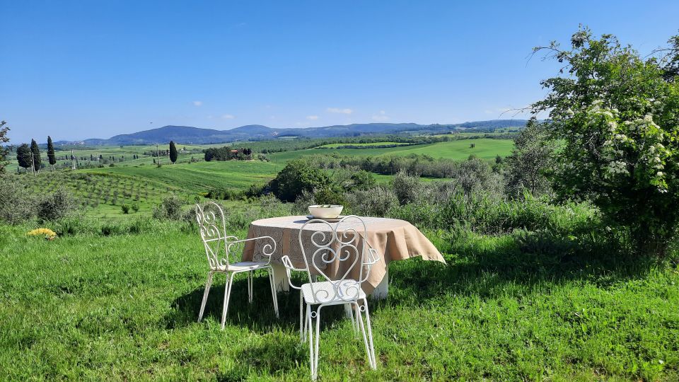 Walking in the Olive Grove: How Is Extra Virgin Olive Oil Made? - Tips for Visiting Olive Groves
