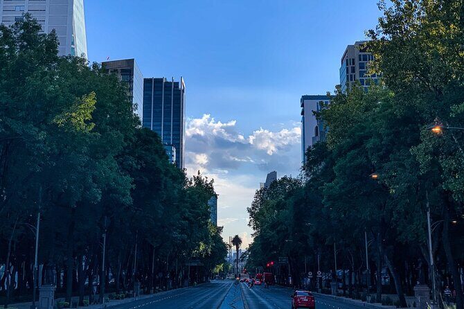 Walking Mexico City Tour with Anthropology Museum - FAQ