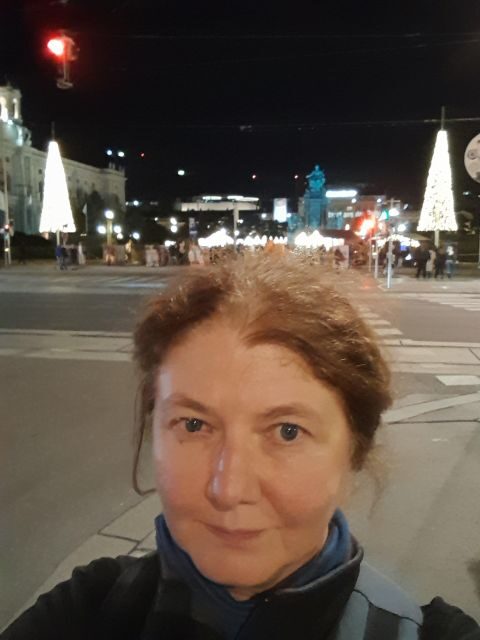 Walking on the historical trail of Viennese Christmas Trees - Pricing and Value